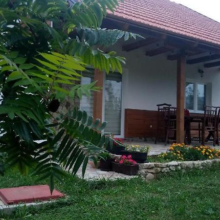 Nektar Park Villa Sara Біхач Екстер'єр фото