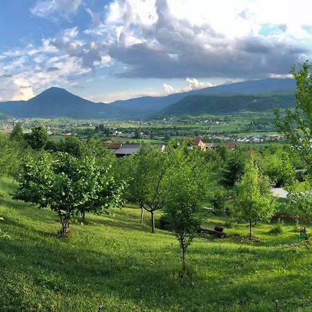 Nektar Park Villa Sara Біхач Екстер'єр фото