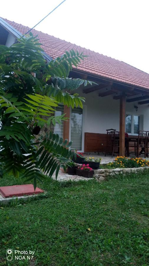 Nektar Park Villa Sara Біхач Екстер'єр фото