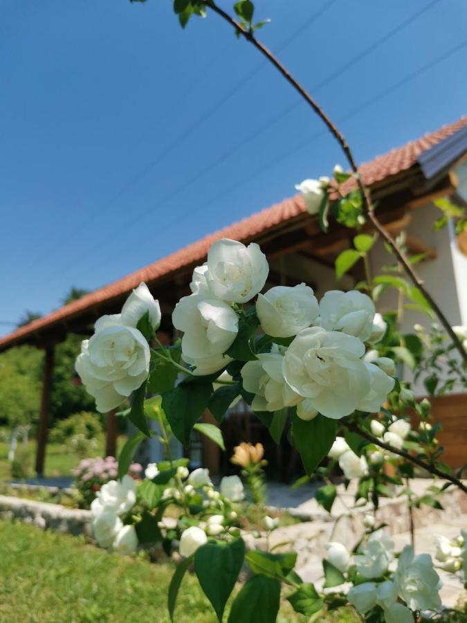 Nektar Park Villa Sara Біхач Екстер'єр фото