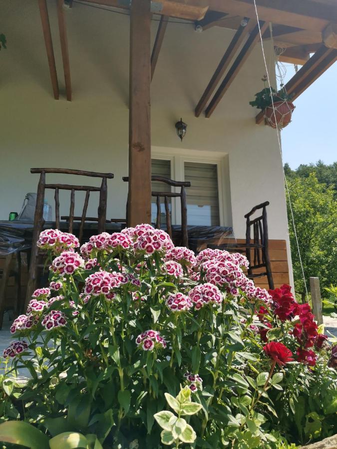 Nektar Park Villa Sara Біхач Екстер'єр фото