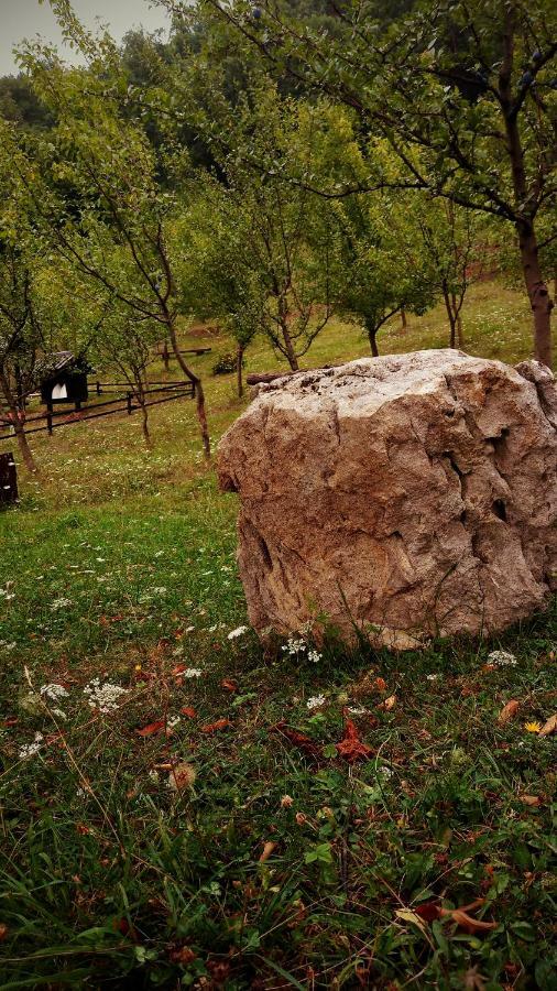 Nektar Park Villa Sara Біхач Екстер'єр фото